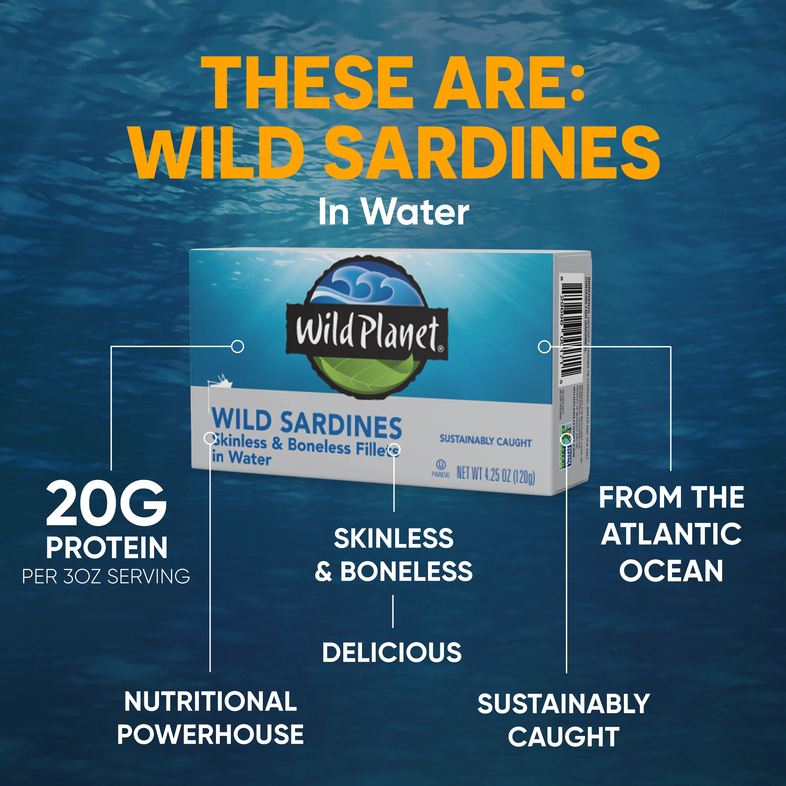 Wild Sardines Skinless & Boneless Fillets In Water - Image 8
