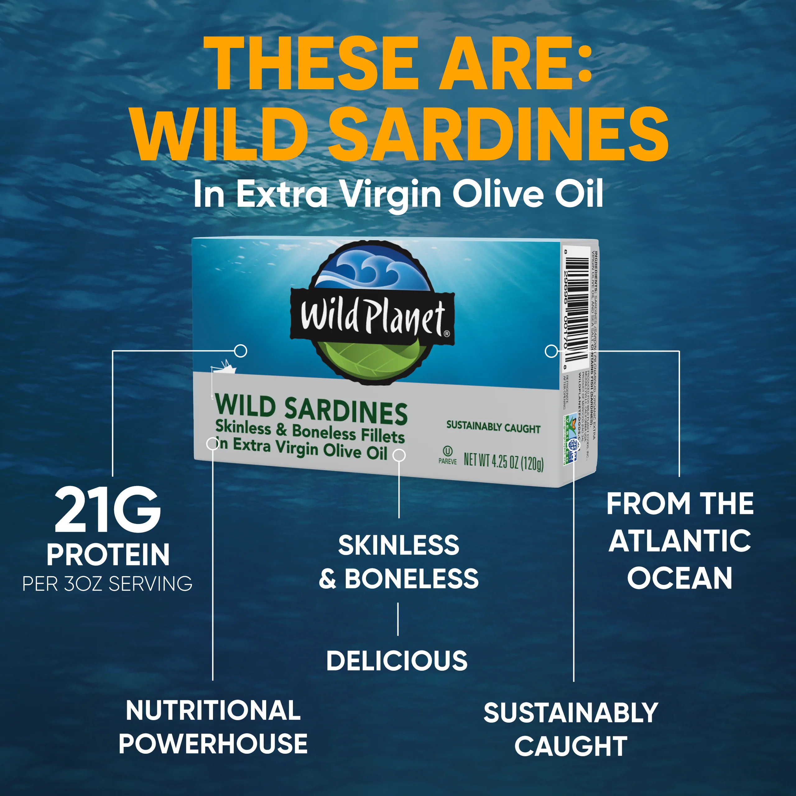Wild Sardines Skinless & Boneless Fillets In Extra Virgin Olive Oil - Image 8