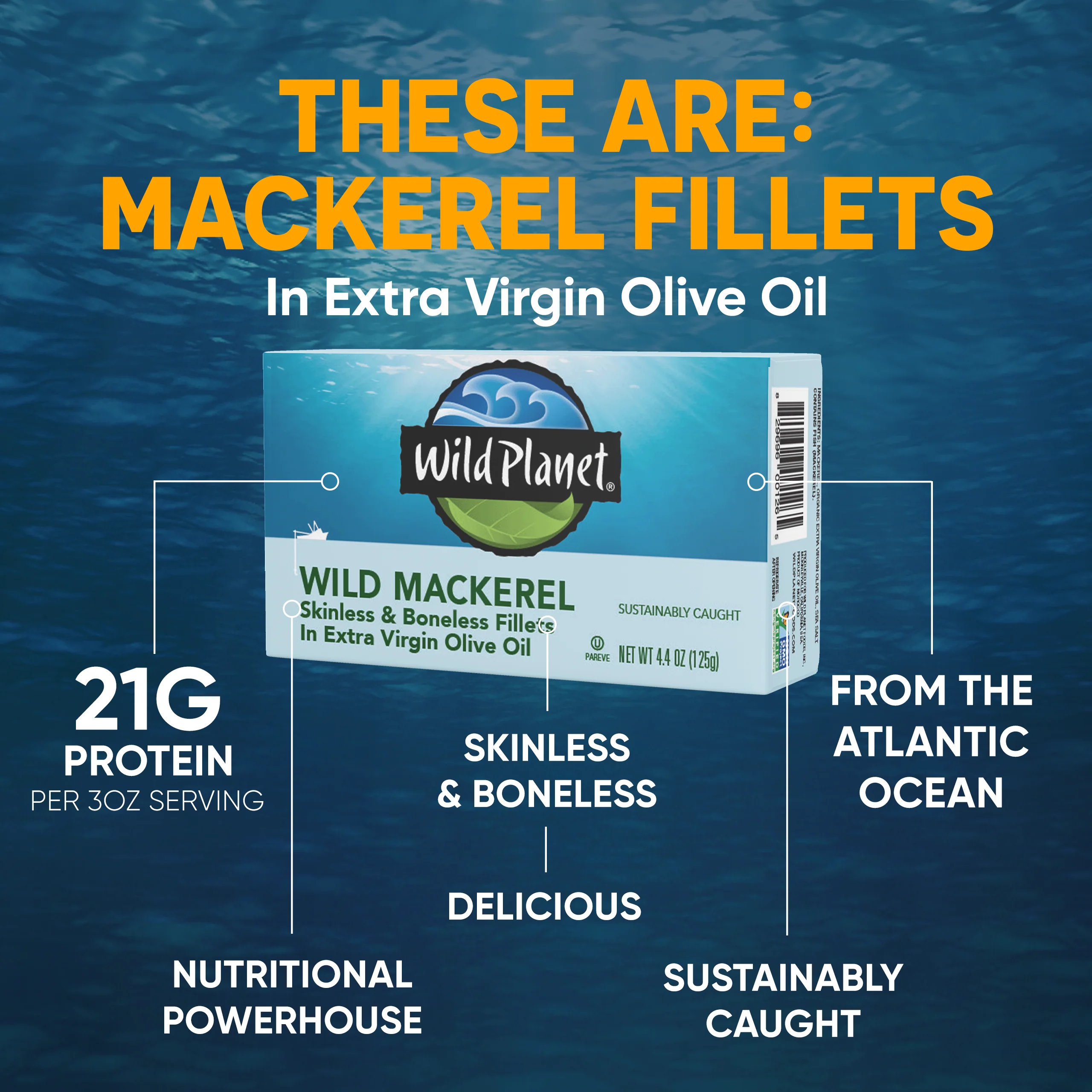 Wild Mackerel Fillets In Extra Virgin Olive Oil - Image 7