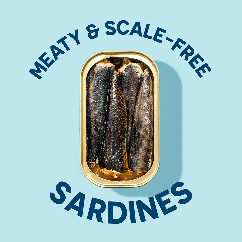 Wild Sardines In Water - Image 7
