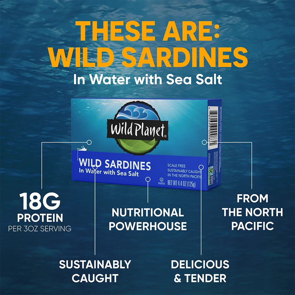 Wild Sardines In Water - Image 8