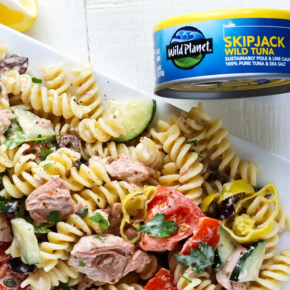 Skipjack Wild Tuna - Image 8