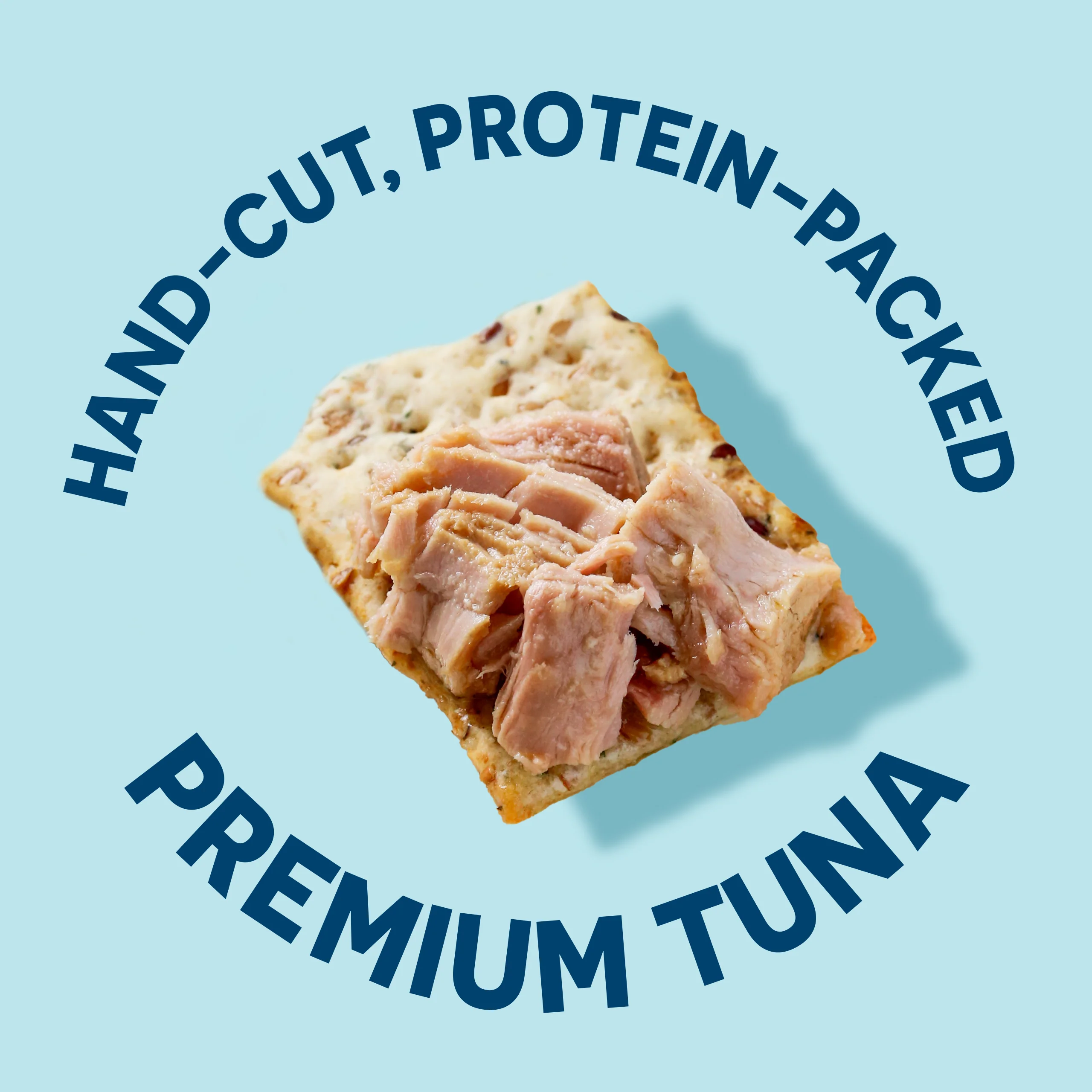 Skipjack Solid Light Wild Tuna in Pure Olive Oil - Image 6